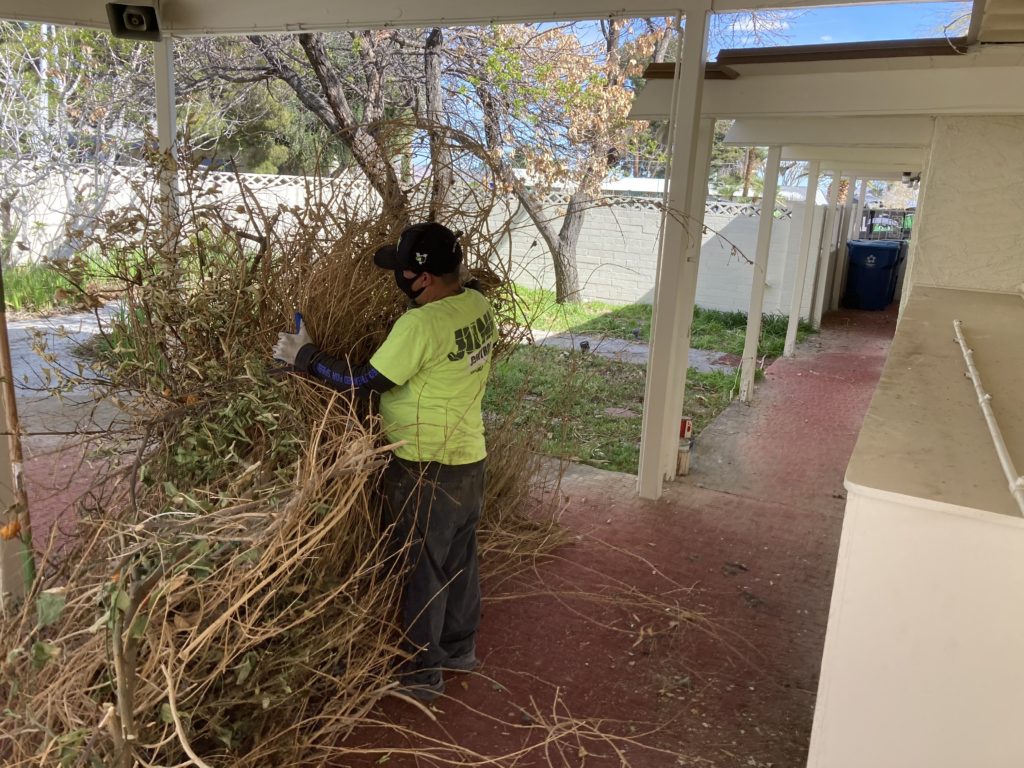 Yard Waste Removal In Henderson Junk Control Junk Control