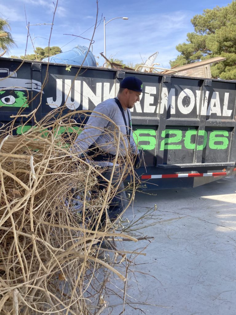 Yard Waste Removal In Las Vegas Junk Control Junk Control