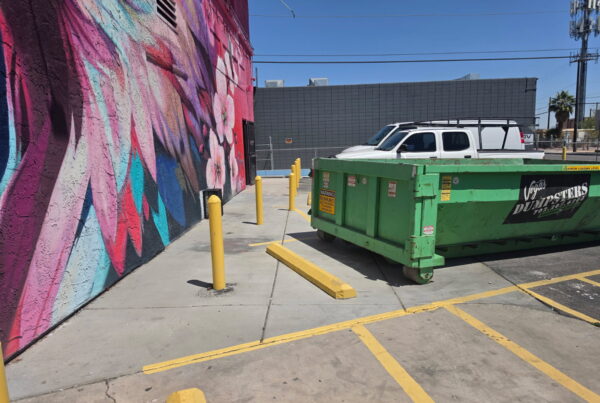 Junk Control Henderson